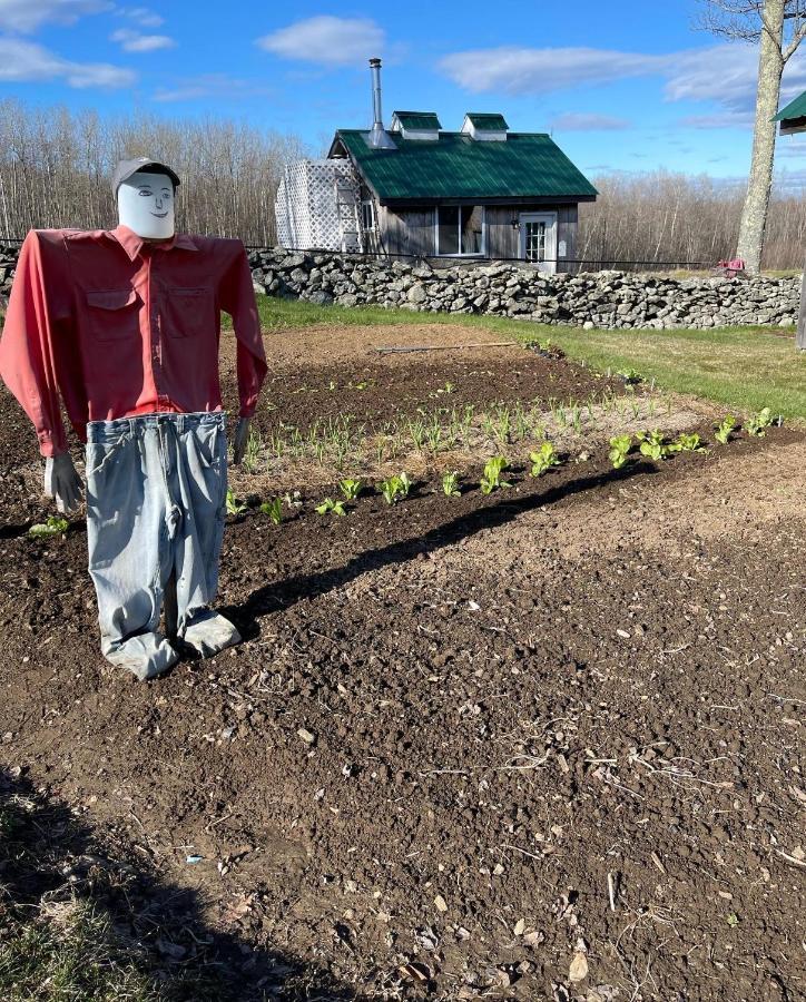 Blueberry Fields Bed & Breakfast Jefferson Екстер'єр фото