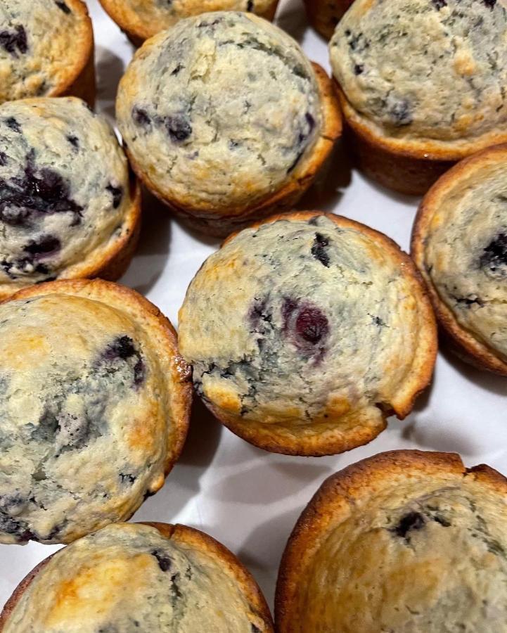 Blueberry Fields Bed & Breakfast Jefferson Екстер'єр фото
