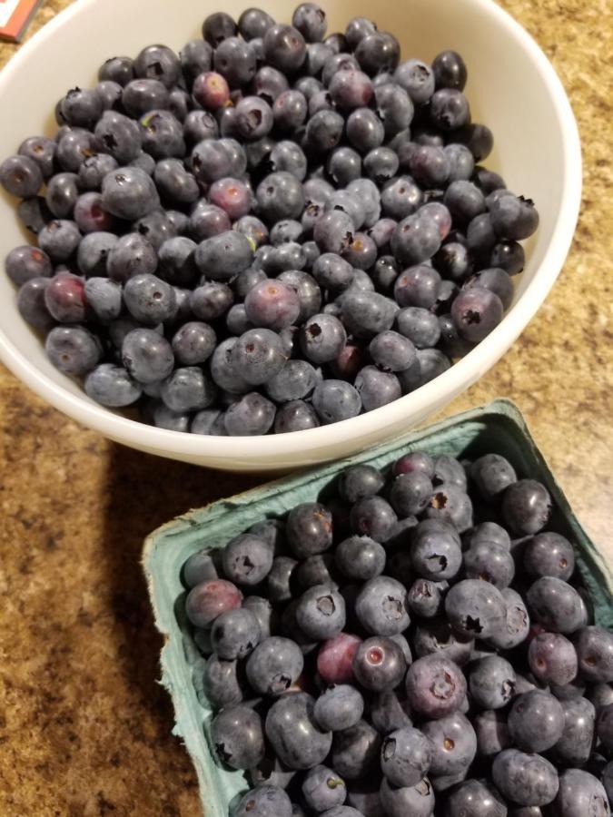 Blueberry Fields Bed & Breakfast Jefferson Екстер'єр фото